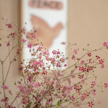 Apartment Bodenseeapartment Kammer *